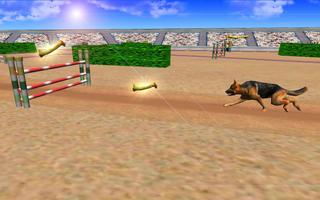 Super Dog Jump 3D 2017 plakat