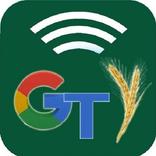 GRAIN TRADERS INDIA