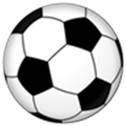 모피와 축구 icône