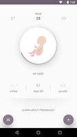 Sharp Baby 海報