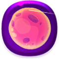 Solitary Planet