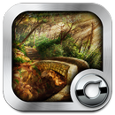 Robin Hood Solo Launcher Theme APK