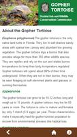 Florida Gopher Tortoise 截图 3