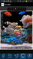 That Aquarium Shop Singapore ภาพหน้าจอ 3