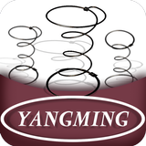 YangMing icône