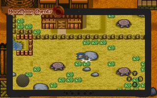 Cheats for Harvest Moon DS پوسٹر