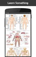 Anatomi manusia screenshot 1