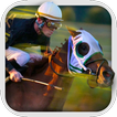 Paard Derby Racing Simulator