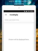 InstaBigProfile capture d'écran 2