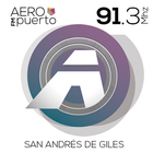 FM AEROPUERTO 91.3 أيقونة