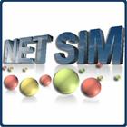 Net SIM English Version 图标