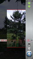 Tree-H (free) capture d'écran 2