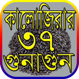 কালোজিরার ৩৭ টি ঔষধি গুন ও উপকারীতা~kalijira benef