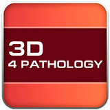 Pathology 3D Constructor