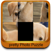 Puzzle Fun Photos APK