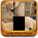 Puzzle Fun Photos APK