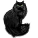 Сонник толкование снов