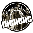 Incubus Songs and lyrics icône