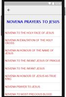 Novena Prayers ảnh chụp màn hình 1