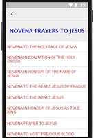 Novena Prayers imagem de tela 1