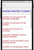 Novena Prayers screenshot 2