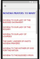 Novena Prayers скриншот 2