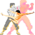 Kung Fu Flighter
