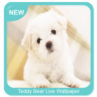 Teddy Bear Wallpaper icône