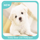 Teddy Bear Wallpaper APK