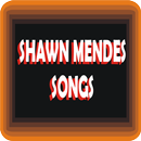 Shawn Mendes - There's Nothing Holdin' Me Back APK