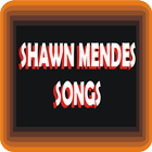 Shawn Mendes - There's Nothing Holdin' Me Back-icoon