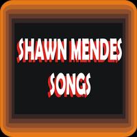 Shawn Mendes - There's Nothing Holdin' Me Back plakat