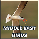 Middle East Birds Calls icône