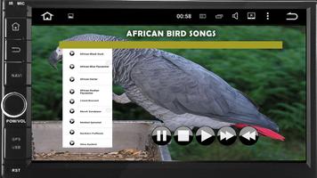 African Bird Songs स्क्रीनशॉट 2