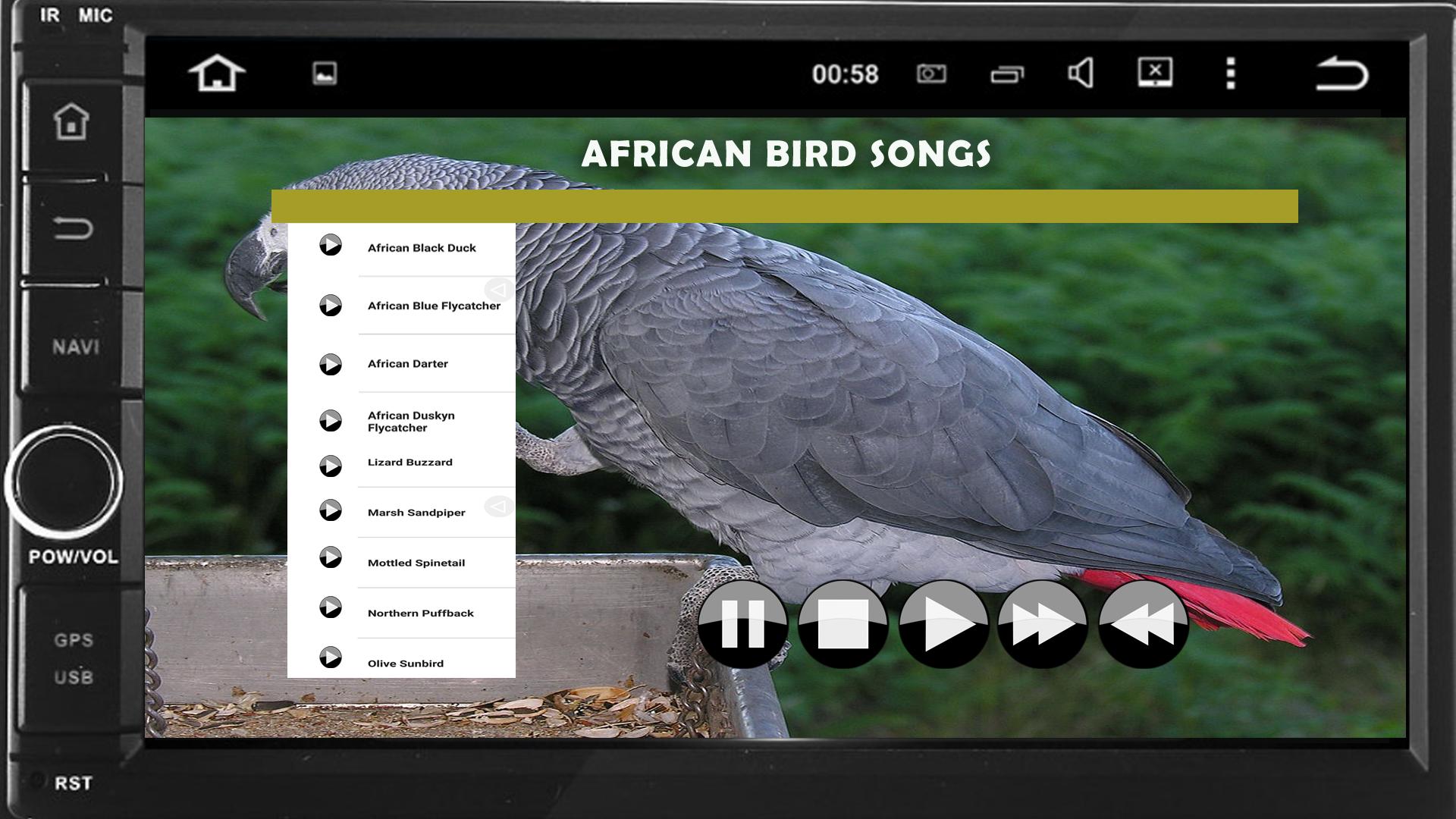 African Bird Songs For Android Apk Download - 