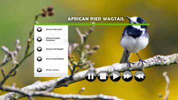 Bird Sound : African Ekran Görüntüsü 1
