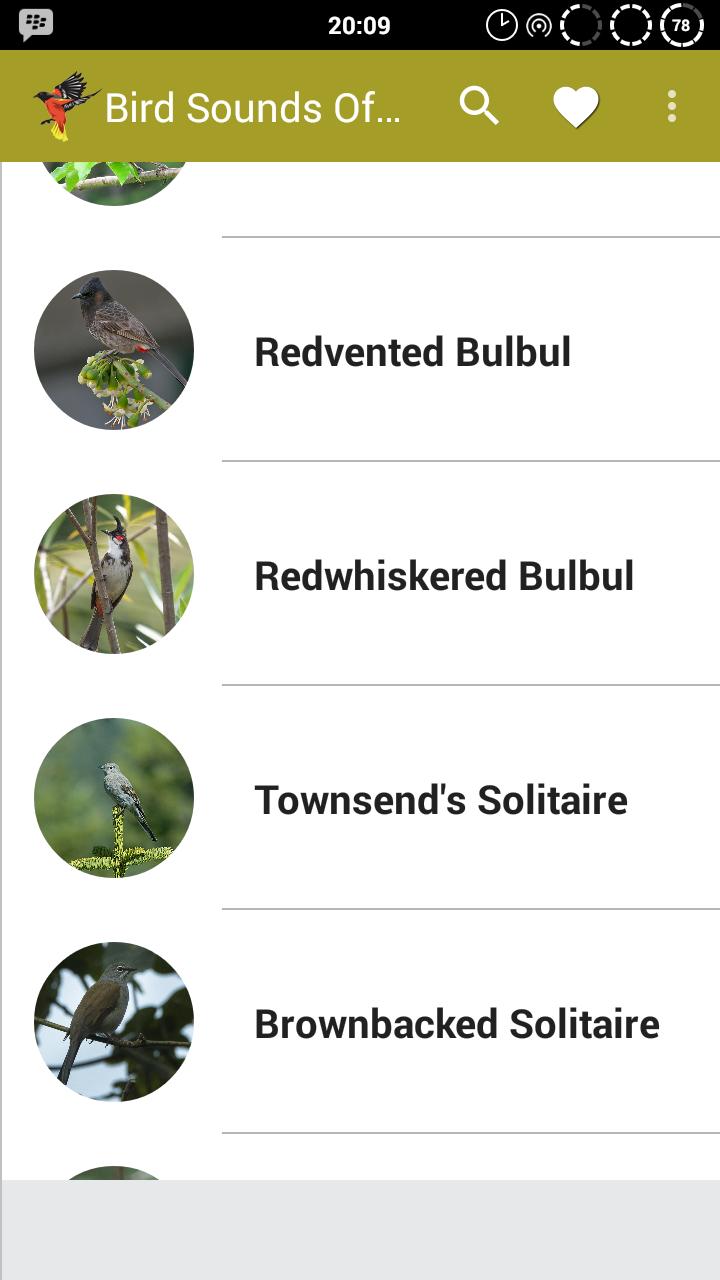Скачать North American Bird Identification Apps APK для Android
