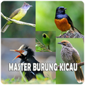 Kicau Burung Asia