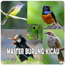 Kicau Burung Asia APK