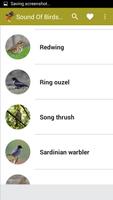 برنامه‌نما Sound Of Bird Chirping عکس از صفحه