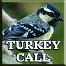 Turkey Bird Call Identification APK