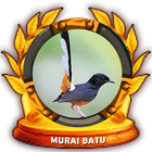 Icona Top Master Murai Batu