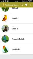 Top Suara Burung Offline Cartaz