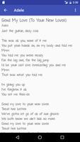 Adele Song Lyrics screenshot 2