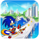 Super Son ic Adventure Race Hedgehogs-icoon