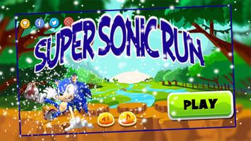 Super Son ic Adventure Race Hedgehogs 海報