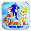 New Tricks Sonic Adventure 2 APK