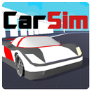 CarSim APK