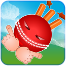 Crazy Cricket APK