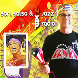 Son Salsa y Jazz icono